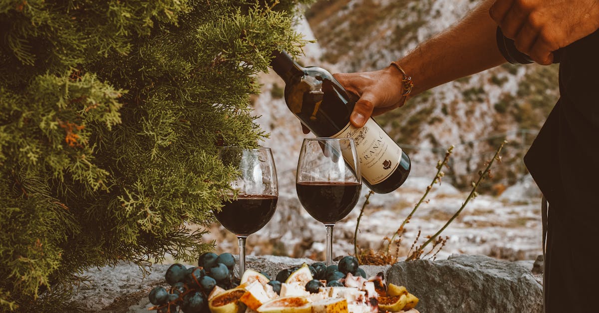A scenic outdoor setting with red wine, cheese, and grapes on a stone surface.