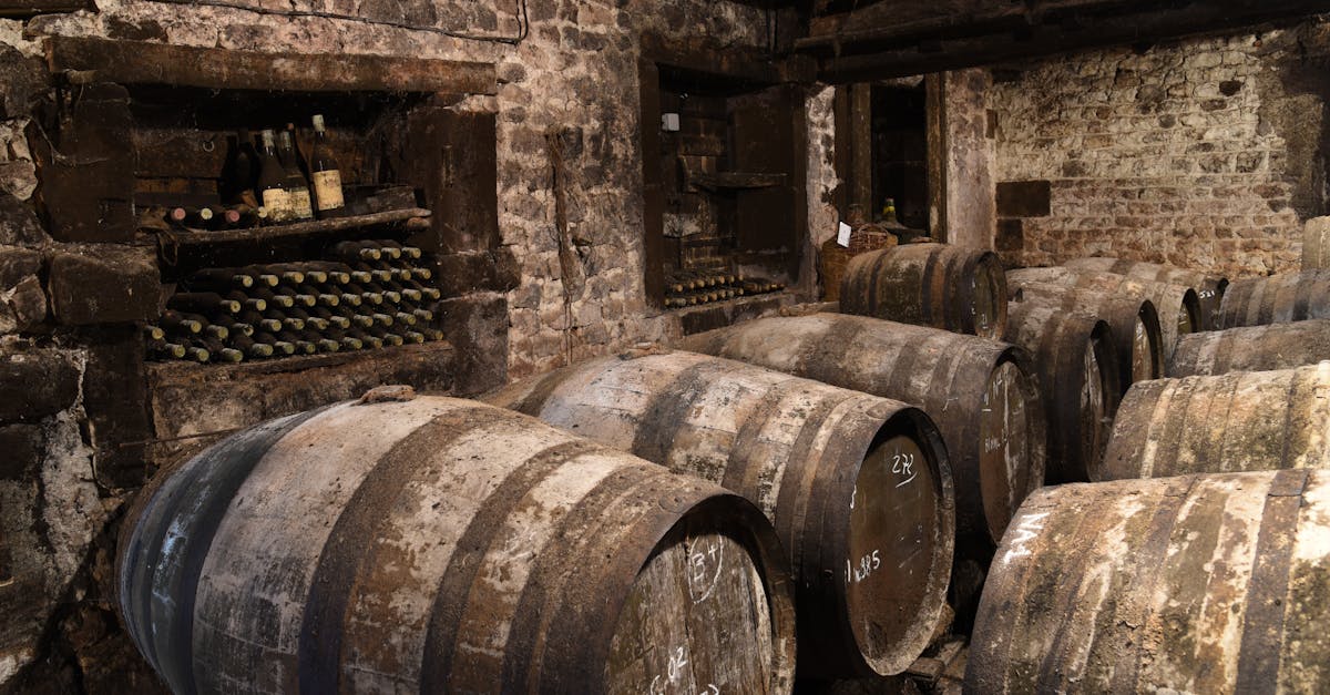 An atmospheric wine cellar featuring wooden barrels and dusty bottles stacked against stone walls.