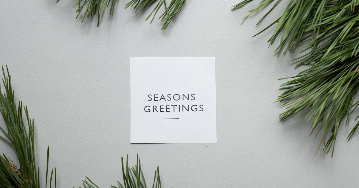 Top view of Season Greetings phrase written on greeting card placed on gray background with green spruce branches in studio