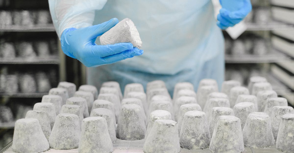 Close-up of a worker examining cheese in a production facility.