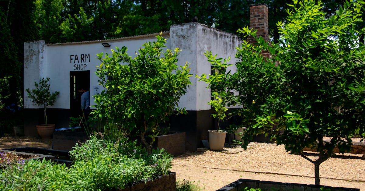 A picturesque farm shop surrounded by thriving plants and trees, highlighting rural simplicity.