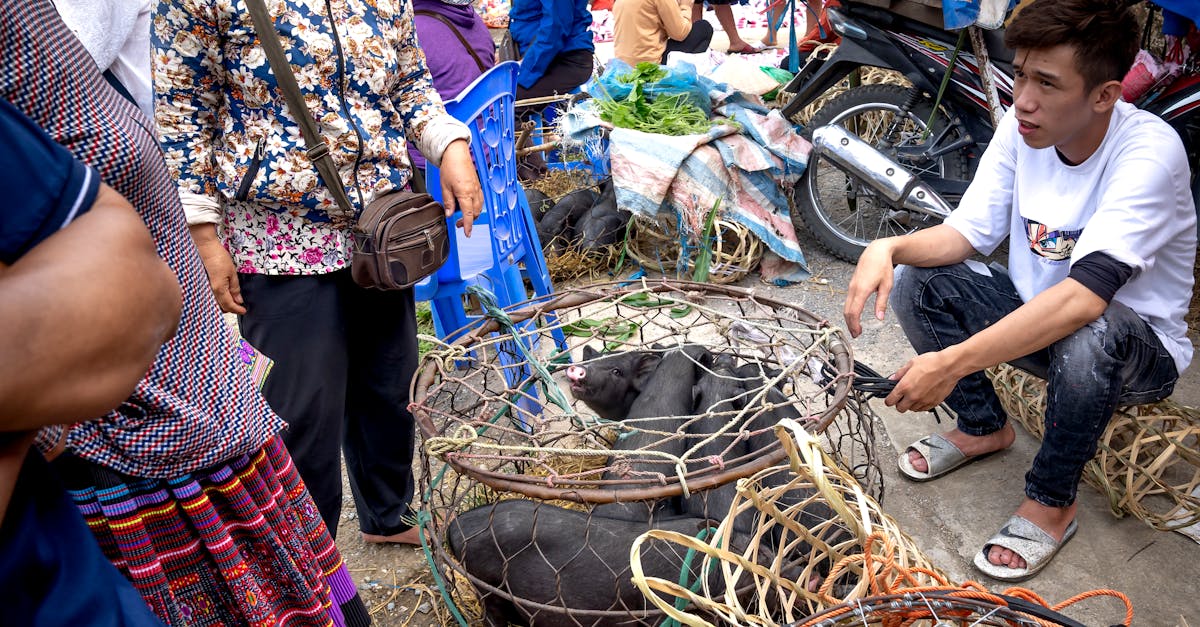 A bustling street market in Vietnam featuring Vietnamese pot-bellied pigs and local vendors in traditional attire.