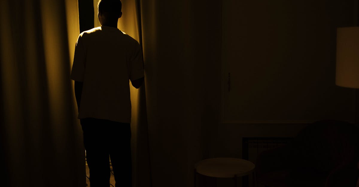 Silhouette of a person standing by a window in a dimly lit room, suggesting themes of solitude and contemplation.