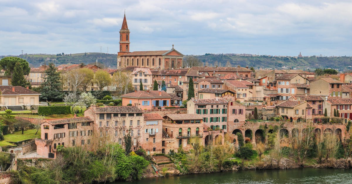 Picturesque view of Albi's historic skyline and River Tarn with classic architecture and landmarks.