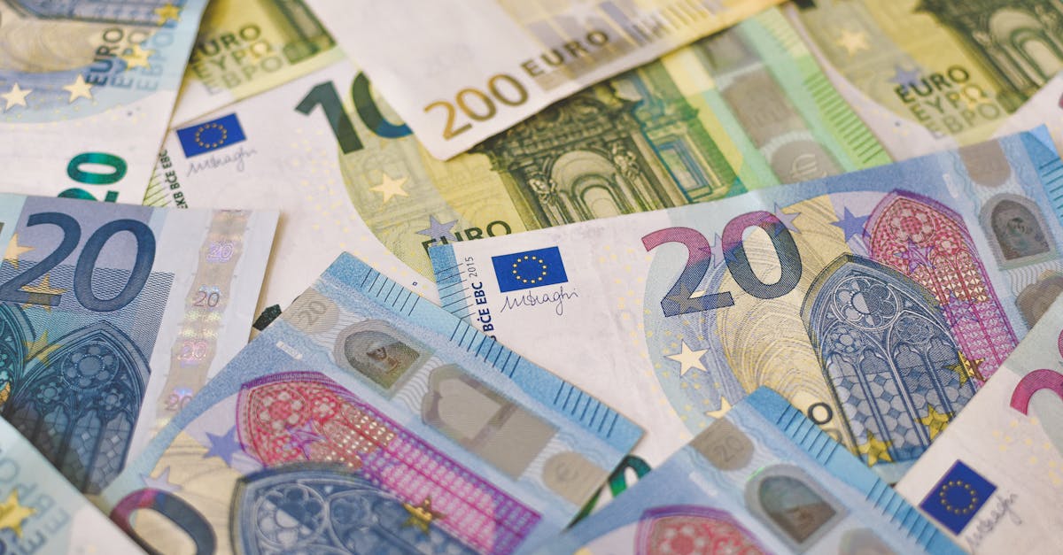 High-quality image of various Euro banknotes showcasing Europe’s currency in detail.
