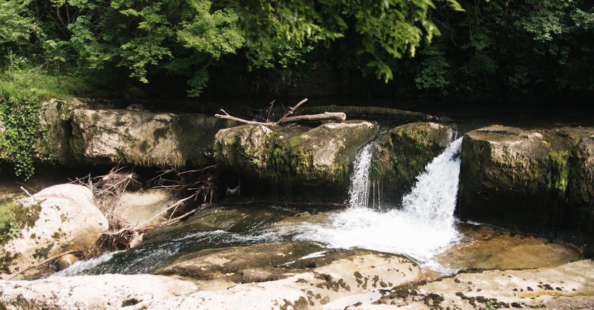 Peaceful small waterfall cascading over rocks in a dense green forest, perfect for nature enthusiasts.
